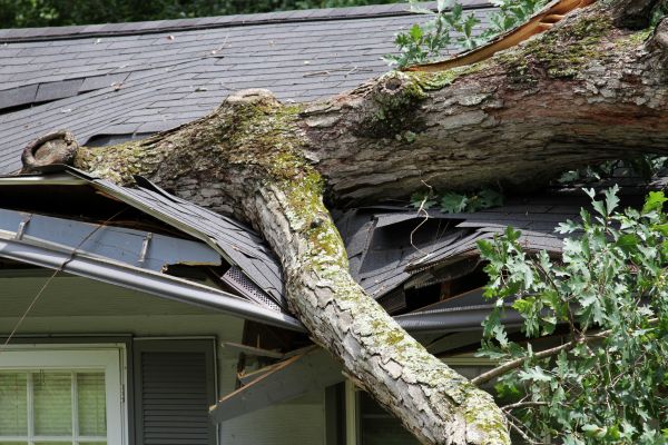 Storm Remediation in Lewisville