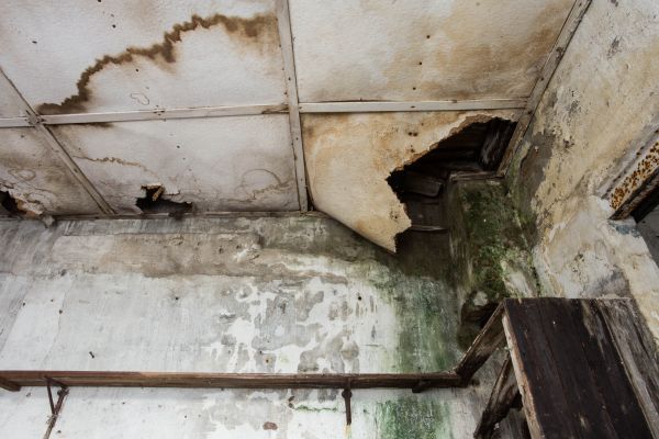 Water Damage Service in Lewisville
