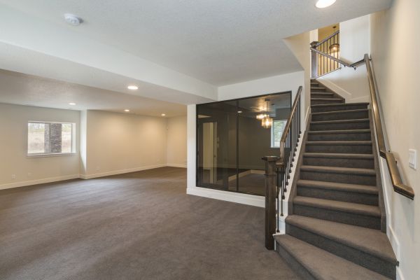 Basement Restoration Service in Lewisville