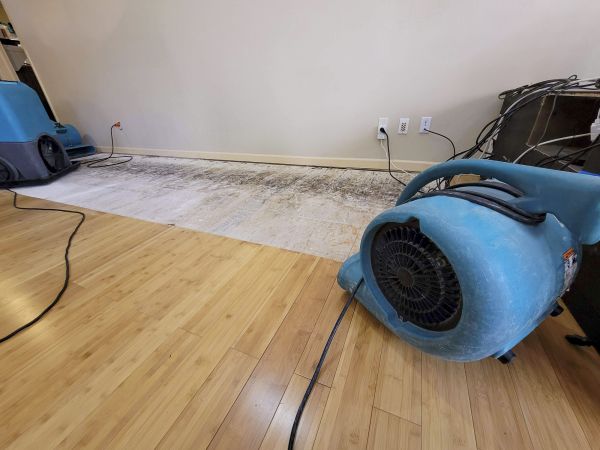 Water Damage Mitigation in Lewisville