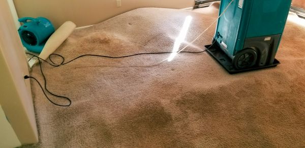 Carpet Water Extraction in Lewisville