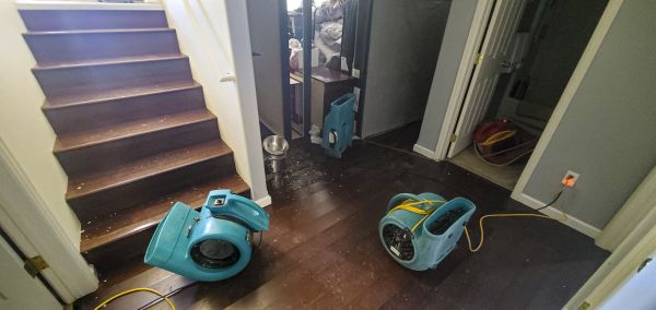 Water Damage Remediation in Lewisville
