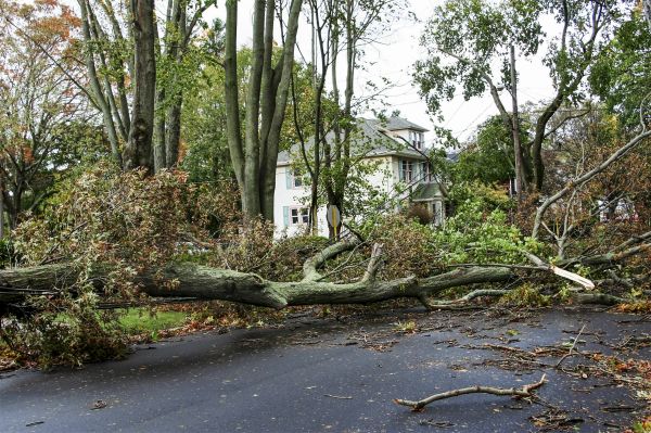 Tornado Damage Repair in Lewisville