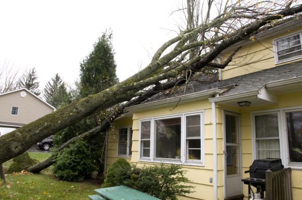 Storm Damage Mitigation in Lewisville