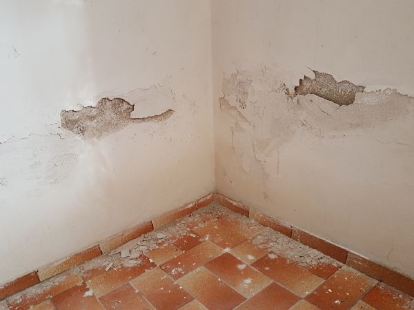 Water Damage Renovation