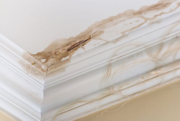 Water Damage Recovery in Lewisville